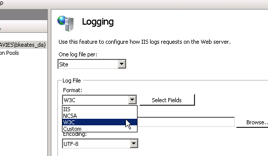 example iis log file